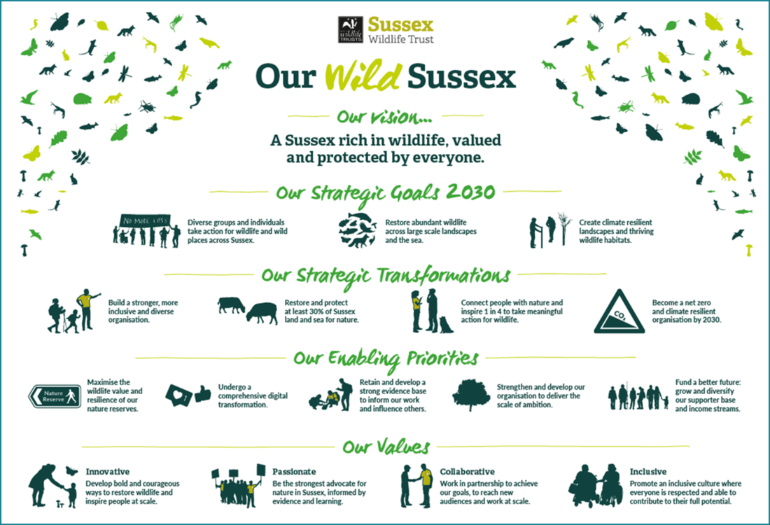 Our Wild Sussex